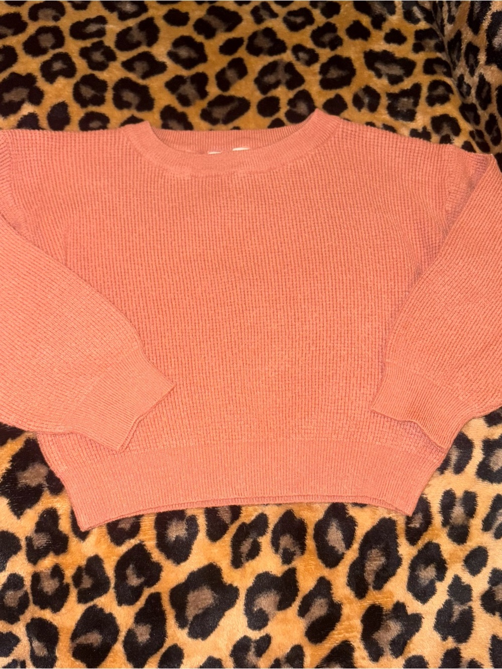 SHEIN Burnt Orange Waffle Knit Crewneck Relaxed Fit Sweater 2-3Y